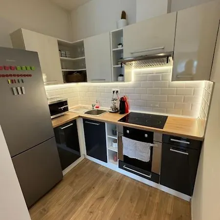 Cozy Flat In The Center * פלזן