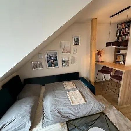 Cozy Flat In The Center דירה פלזן