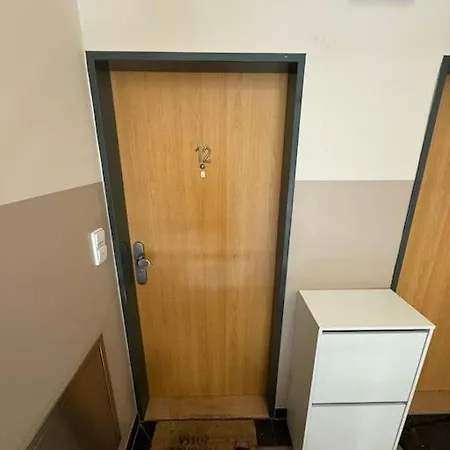 Cozy Flat In The Center פלזן